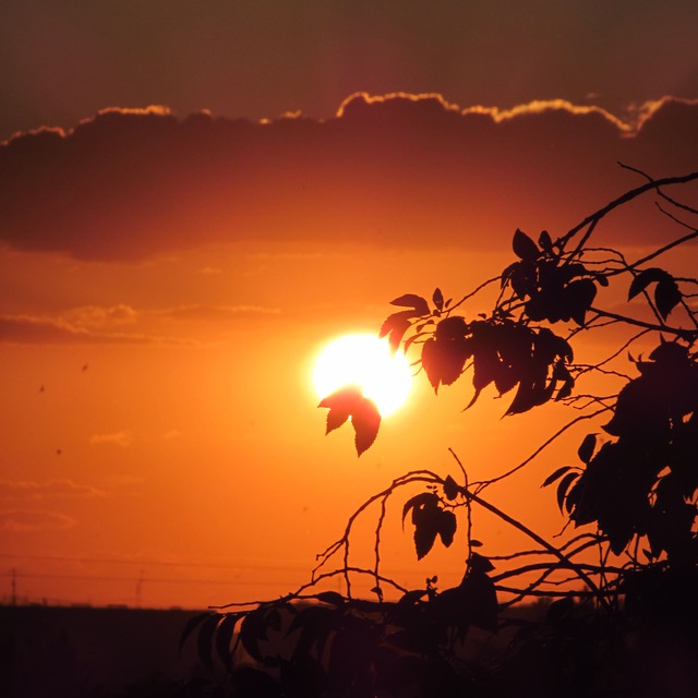 Иконка Telegram Канал